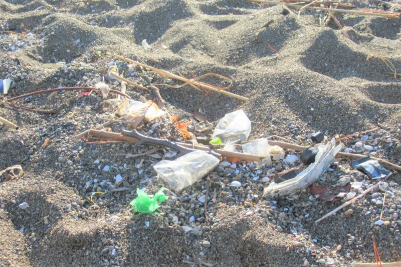 海辺に捨てられたゴミ（海洋プラスチック問題）