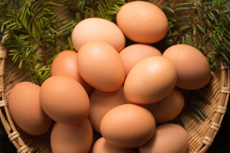 ポストハーベスと農薬の心配がすくないPHFの卵